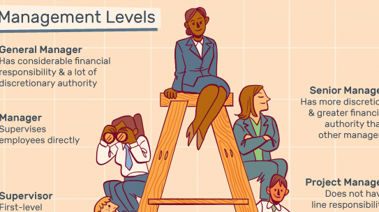A guide to middle management positions
